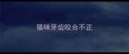 猫咪牙齿咬合不正