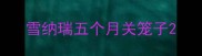 雪纳瑞五个月关笼子
