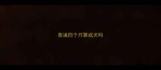 泰迪四个月算成犬吗