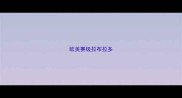 欧美赛级拉布拉多