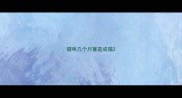 猫咪几个月算是成猫
