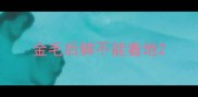 金毛后脚不能着地