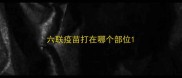 六联疫苗打在哪个部位