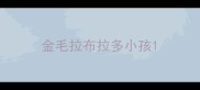 金毛拉布拉多小孩