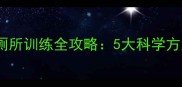 拉布拉多犬定点上厕所训练全攻略5大科学方法与家庭实操指南