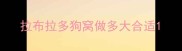 拉布拉多狗窝做多大合适
