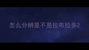 怎么分辨是不是拉布拉多