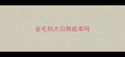 金毛和大白熊能串吗
