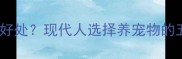 养宠物有哪些好处现代人选择养宠物的五大核心原因