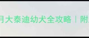 新手必看一个月大泰迪幼犬全攻略附超实用护理清单