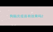 狗脑炎疫苗有效果吗