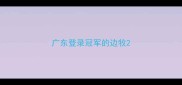 广东登录冠军的边牧