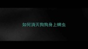 如何消灭狗狗身上蜱虫