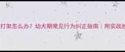 狗狗打架怎么办幼犬期常见行为纠正指南附实战妙招