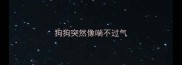 狗狗突然像喘不过气
