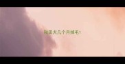 秋田犬几个月掉毛
