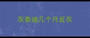 灰泰迪几个月反灰