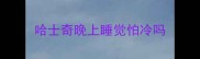哈士奇晚上睡觉怕冷吗