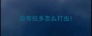 拉布拉多怎么打虫