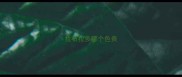 拉布拉多哪个色贵