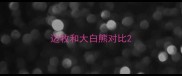 边牧和大白熊对比