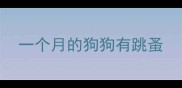 一个月的狗狗有跳蚤