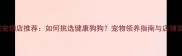 沈阳正规宠物店推荐如何挑选健康狗狗宠物领养指南与店铺实地探访