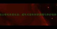 哈士奇毛色变化全成年犬变色科学原理与养护指南
