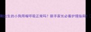 刚出生的小狗用嘴呼吸正常吗新手家长必看护理指南