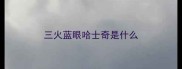 三火蓝眼哈士奇是什么