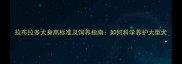 拉布拉多犬身高标准及饲养指南如何科学养护大型犬