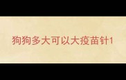 狗狗多大可以大疫苗针