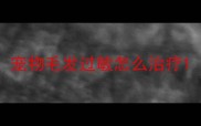 宠物毛发过敏怎么治疗