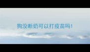 狗没断奶可以打疫苗吗