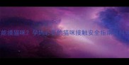 孕晚期能不能摸猫咪孕妈必看的猫咪接触安全指南与科学防护方案