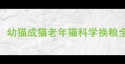 猫咪换粮黄金时间表幼猫成猫老年猫科学换粮全攻略附品牌推荐