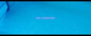 湿纸巾擦猫咪眼睛