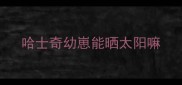 哈士奇幼崽能晒太阳嘛