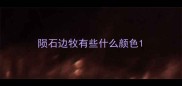 陨石边牧有些什么颜色