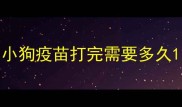 小狗疫苗打完需要多久