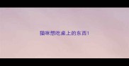 猫咪想吃桌上的东西