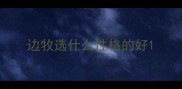 边牧选什么性格的好