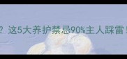 母狗发情间隔2个月这5大养护禁忌90主人踩雷科学养宠指南来了
