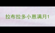 拉布拉多小崽满月