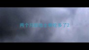 两个月的哈士奇吃多了