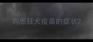 狗患狂犬疫苗的症状