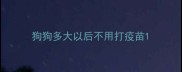 狗狗多大以后不用打疫苗