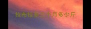 拉布拉多三个月多少斤