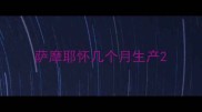 萨摩耶怀几个月生产