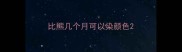 比熊几个月可以染颜色